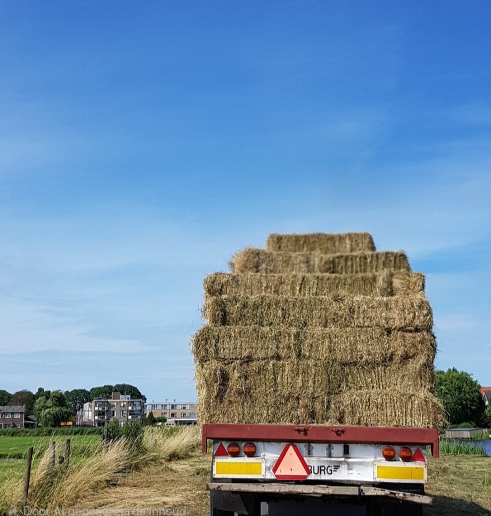 Kleine hooibalen | kleine pakjes hooi, Ophalen, Vee