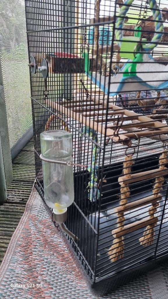 Te koop ratten/ muizenkooi, Ophalen, Gebruikt