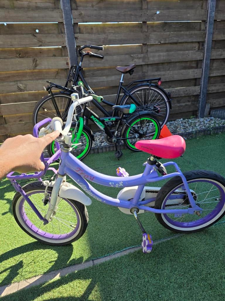 Pegasus Kinderfiets 20 inch - Zo goed als nieuw, Ophalen of Verzenden