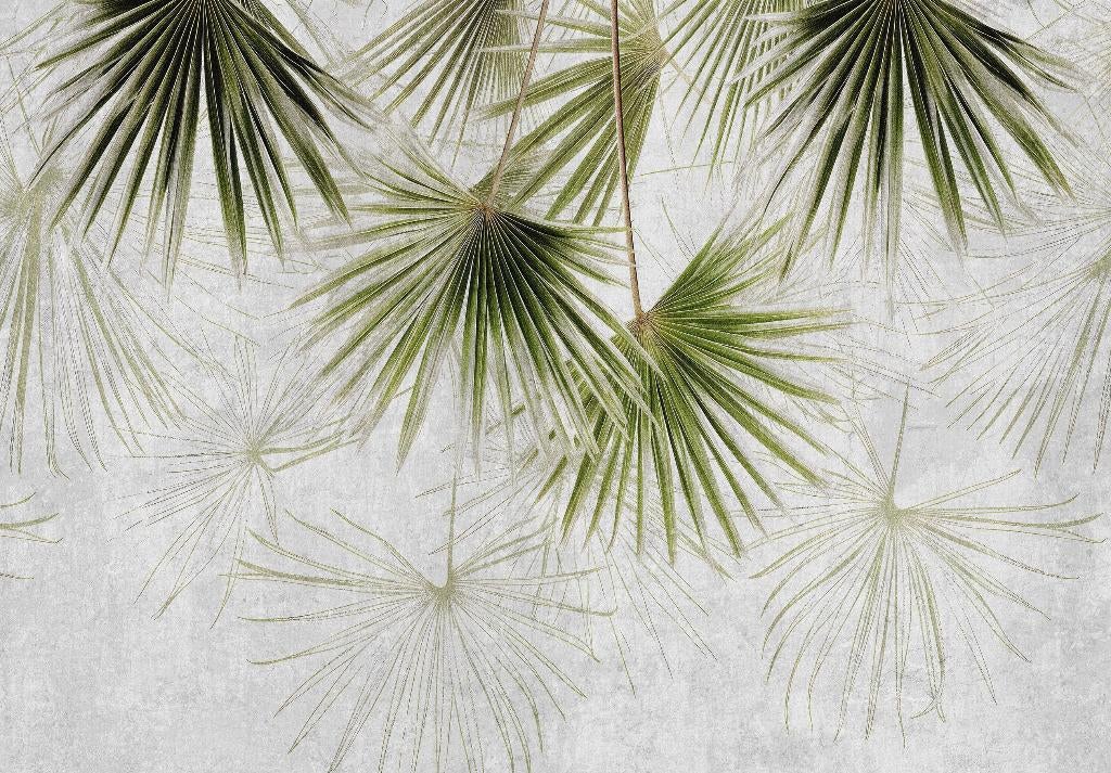 Palmbladeren behang Groene Waaierpalm OOK OP MAAT, Verzenden, Minder dan 10 m², Botanisch, natuur, jungle, landelijk,