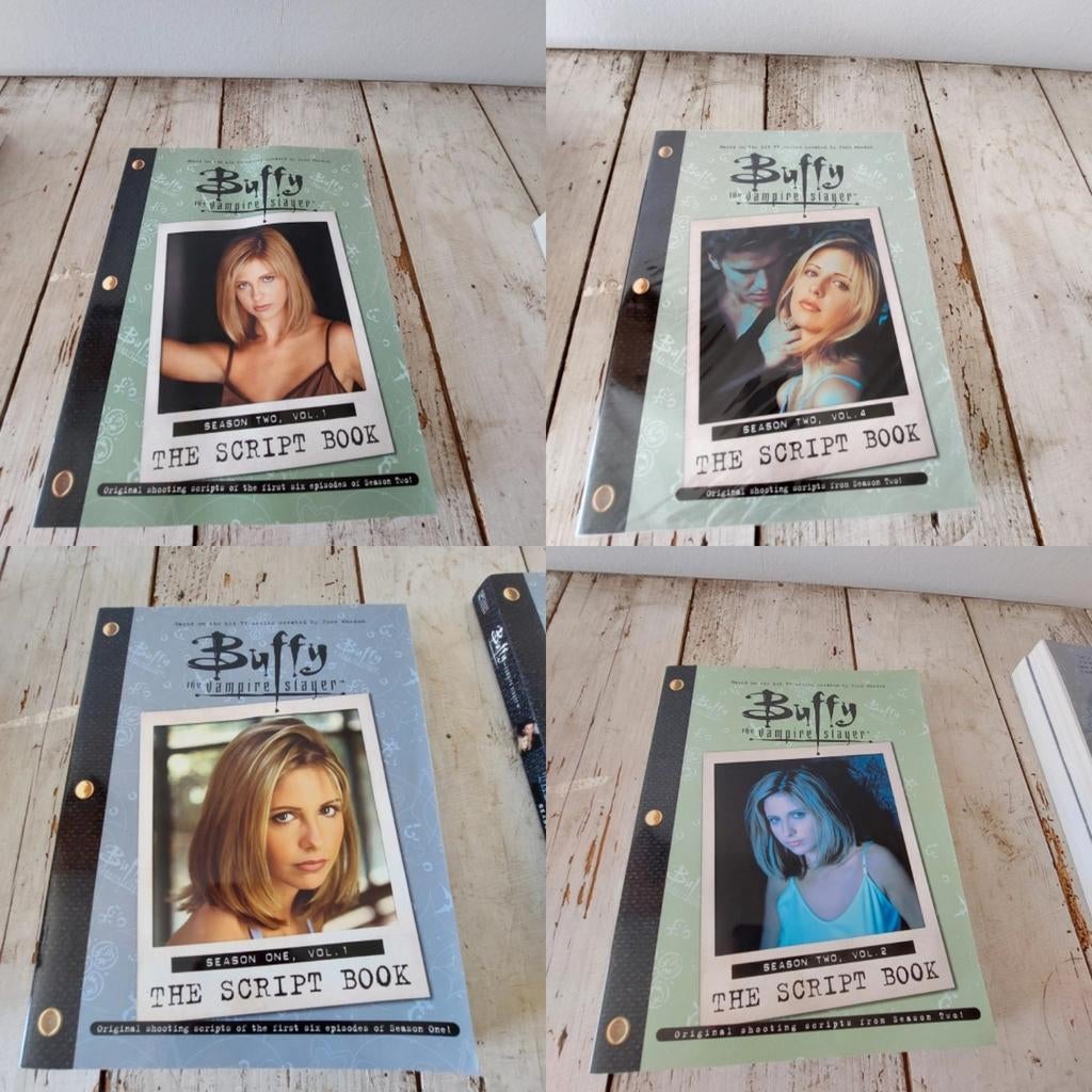 Script book buffy the vampire slayer, Boeken, Ophalen of Verzenden, Zo goed als nieuw