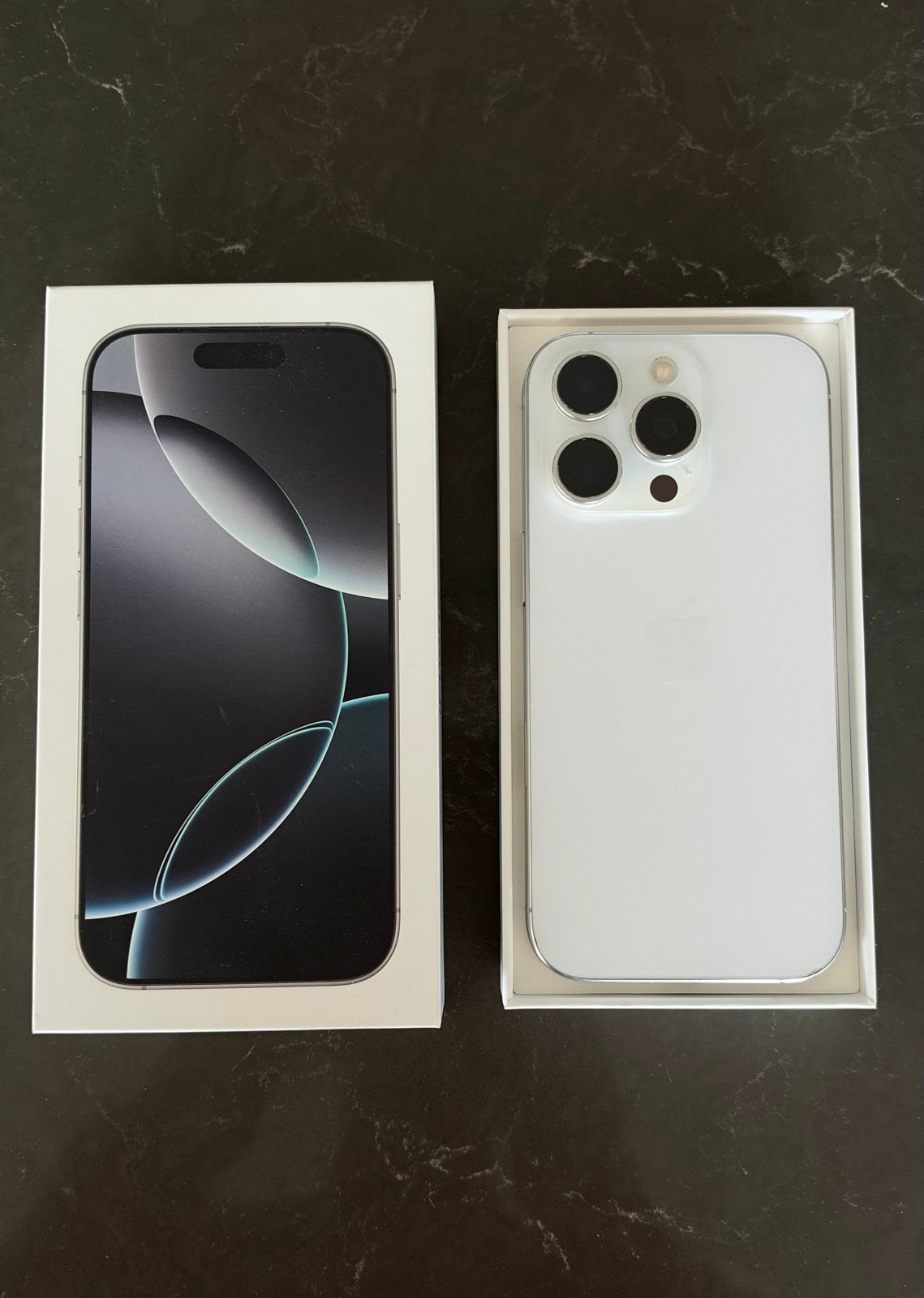 iPhone 16 Pro 256GB Zilver (batterij 87%)