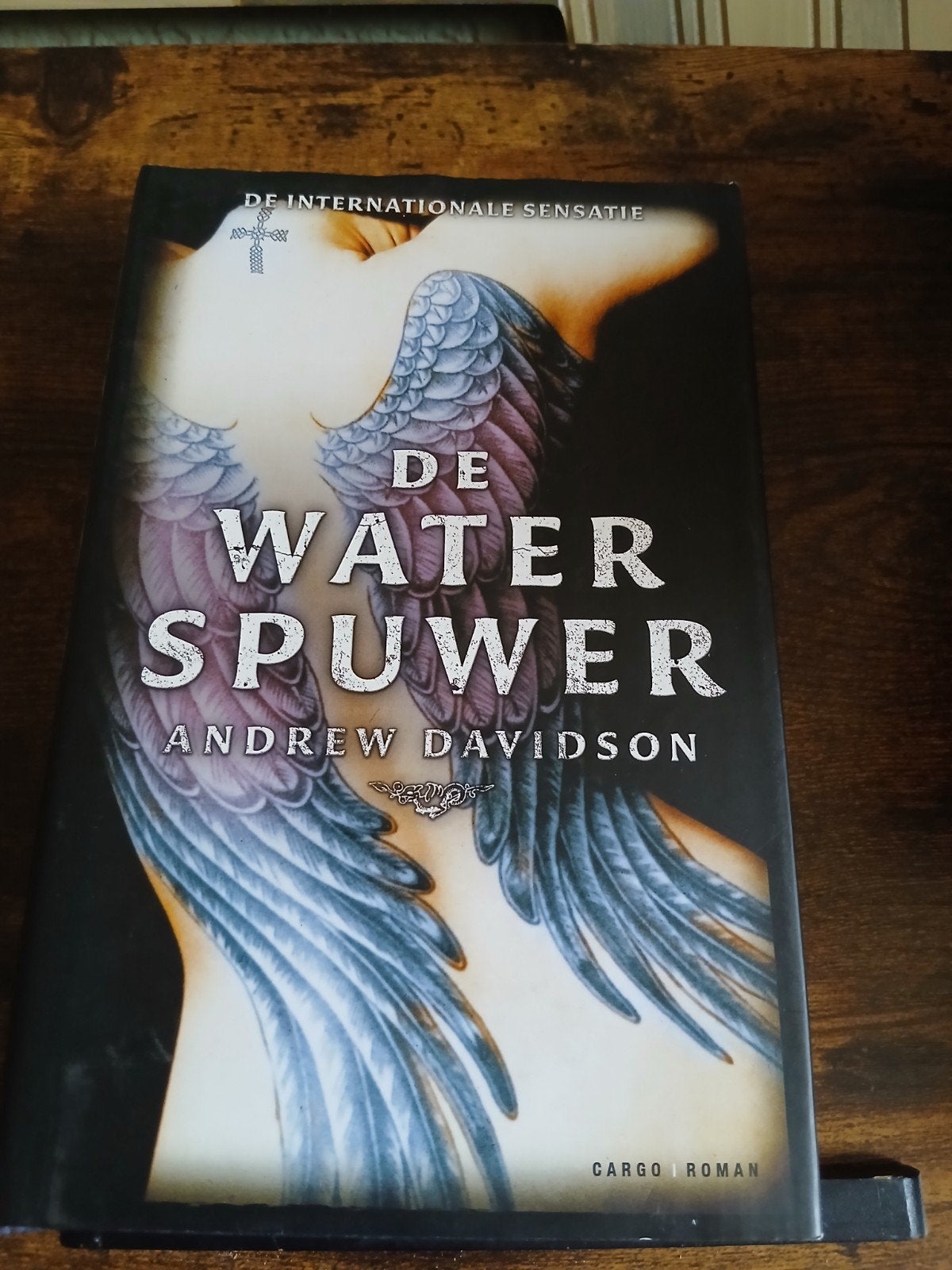 De Waterspuwer - Andrew Davidson (Roman), Boeken, Romans, Zo goed als nieuw, Ophalen of Verzenden