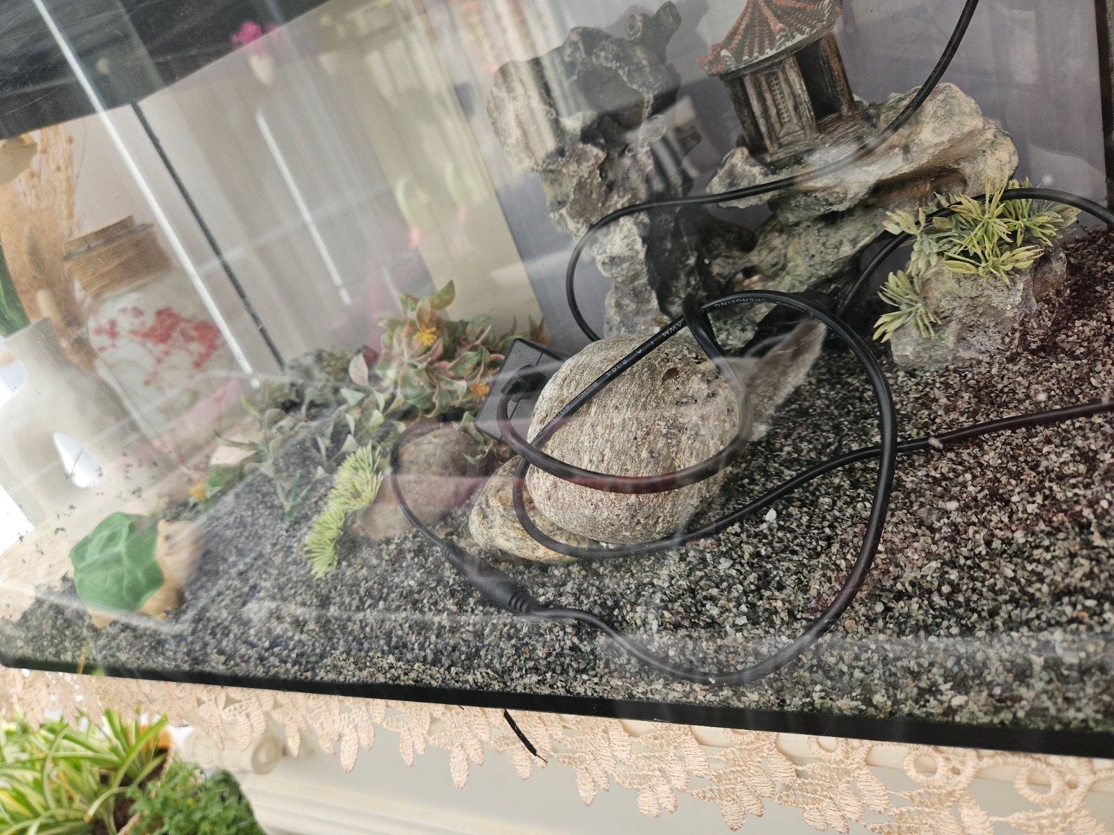 Aquarium
te koop., Ophalen, Gebruikt