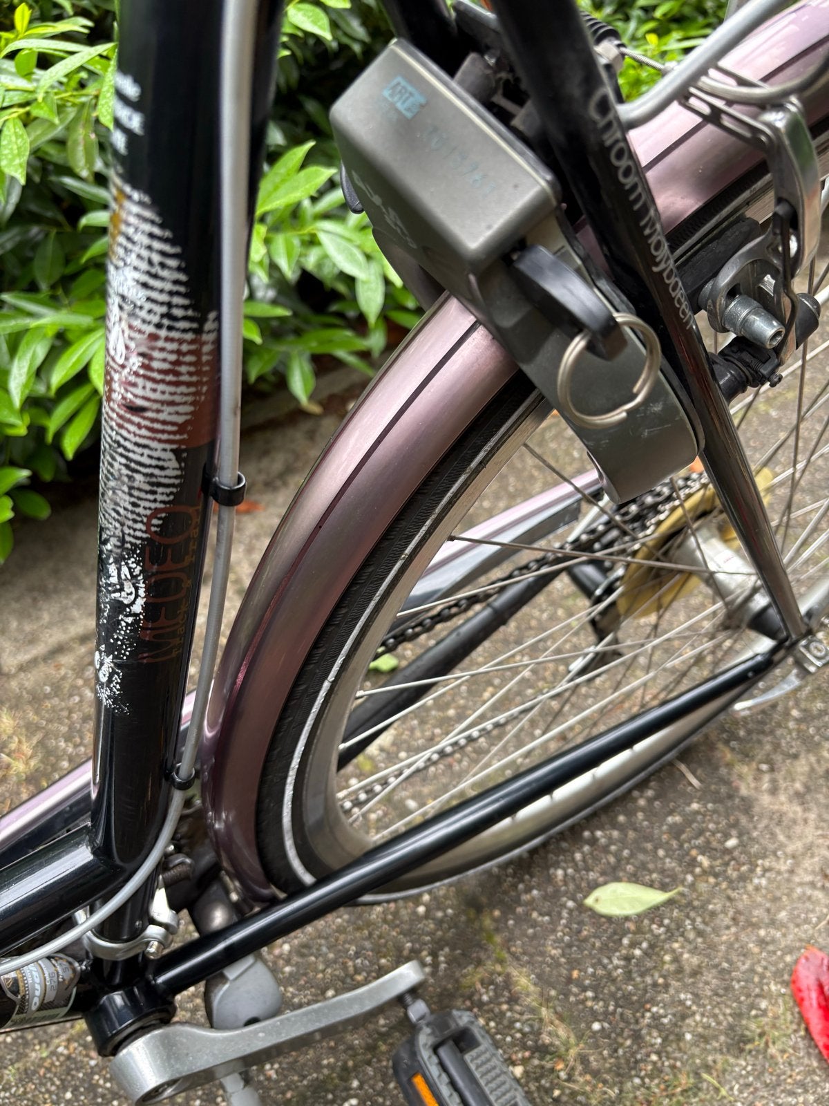 Gazelle Medeo Damesfiets met Mand en Versnellingen, Fietsen en Brommers, Fietsen | Dames | Damesfietsen, Velgrem, Versnellingen