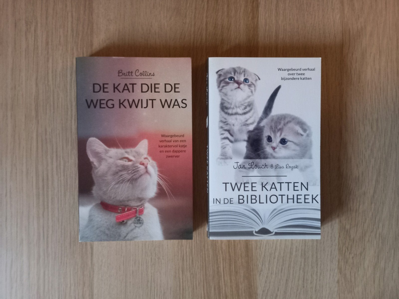 2 kattenboeken: De kat die de weg kwijt was & Twee katten, Ophalen of Verzenden, Nieuw, Katten, Britt Collins, Jan Louch, Lisa Rogak