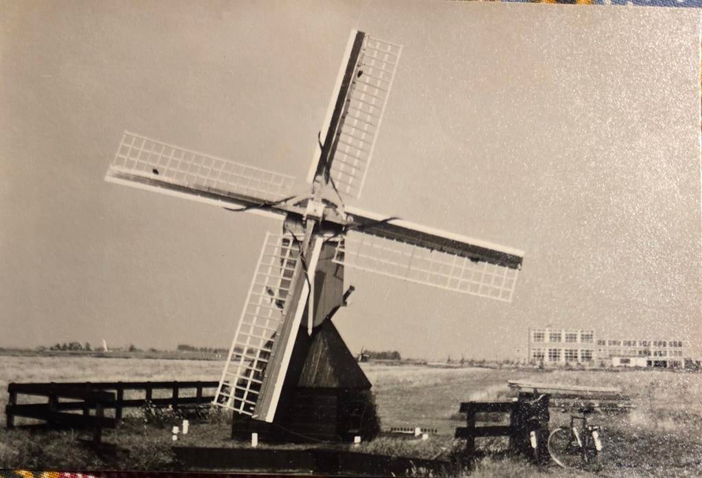 Zaandam molen de Hadel, Verzamelen, Foto's en Prenten, Ophalen of Verzenden, 1960 tot 1980, Zo goed als nieuw, Overige onderwerpen