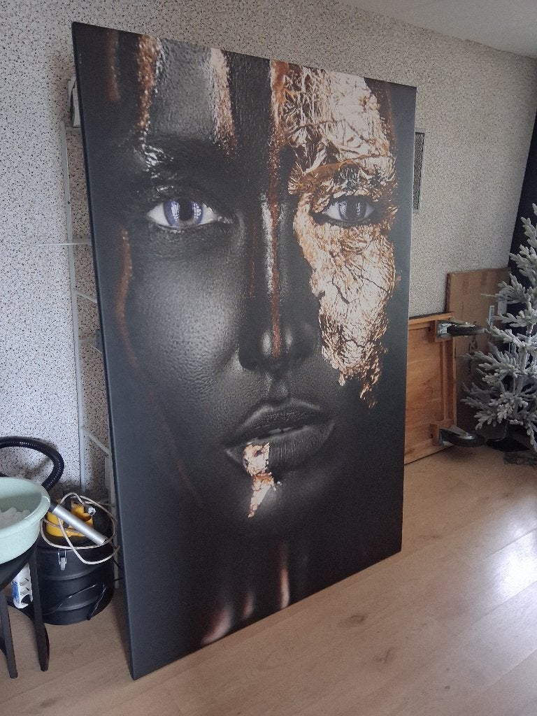 Canvas schilderij, Ophalen, Zo goed als nieuw, 125 cm of meer, Schilderij