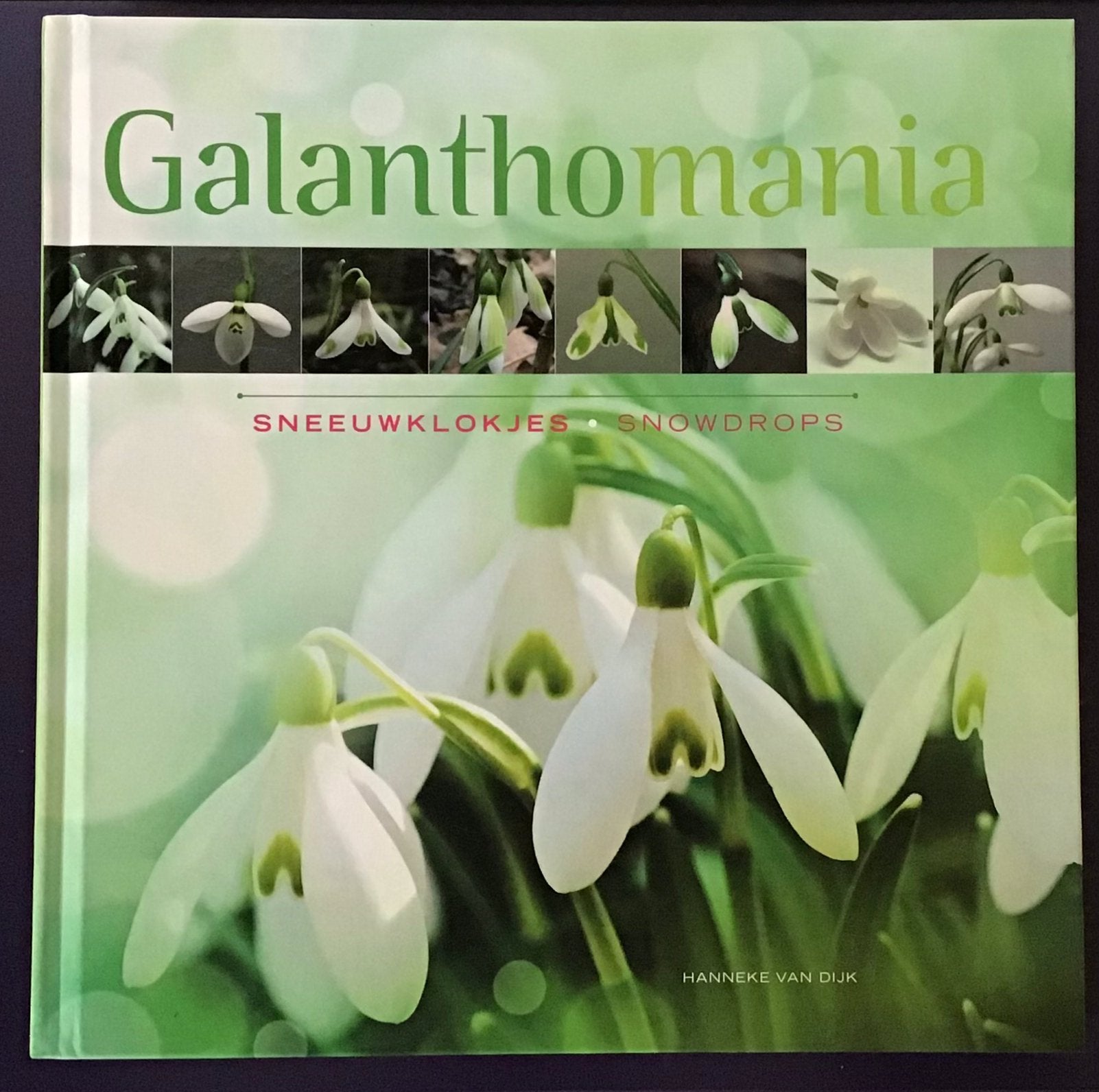 Hanneke van Dijk - Galanthomania, Boeken, Hanneke van Dijk, Nieuw, Ophalen of Verzenden, Interieur en Design