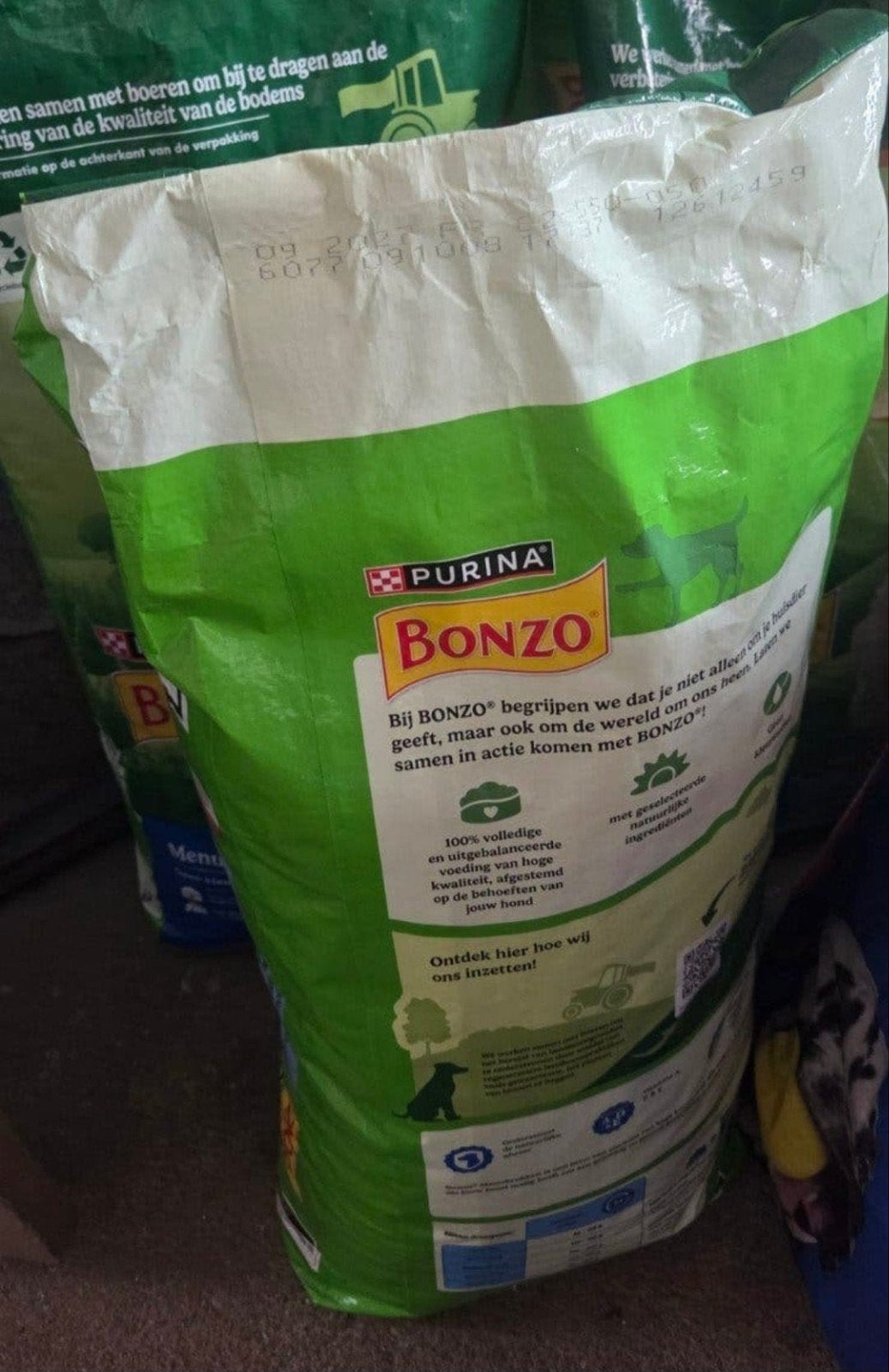 bonzo honden brokken, Ophalen, Hond
