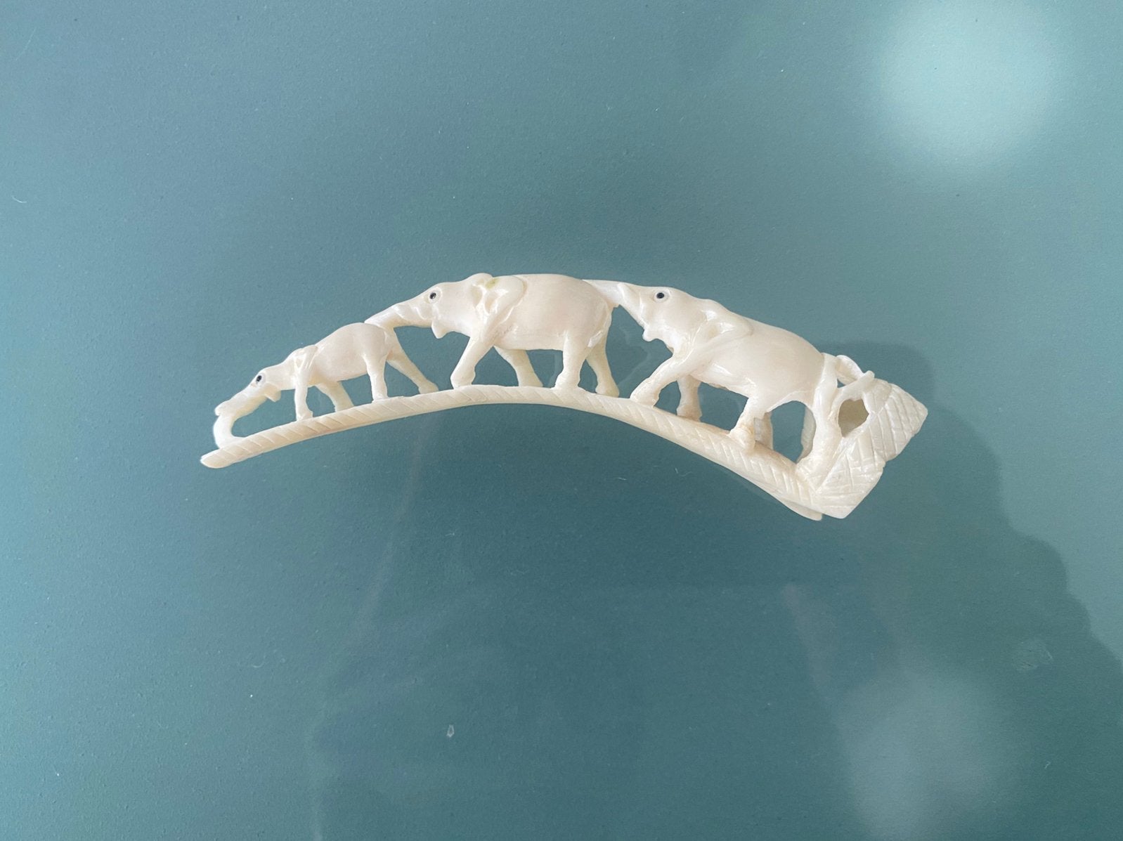 HAND GESTOKEN EVERZWIJN TAND (10cm)., Overige typen, Minder dan 20 cm, Natuurlijk materiaal, Ophalen of Verzenden