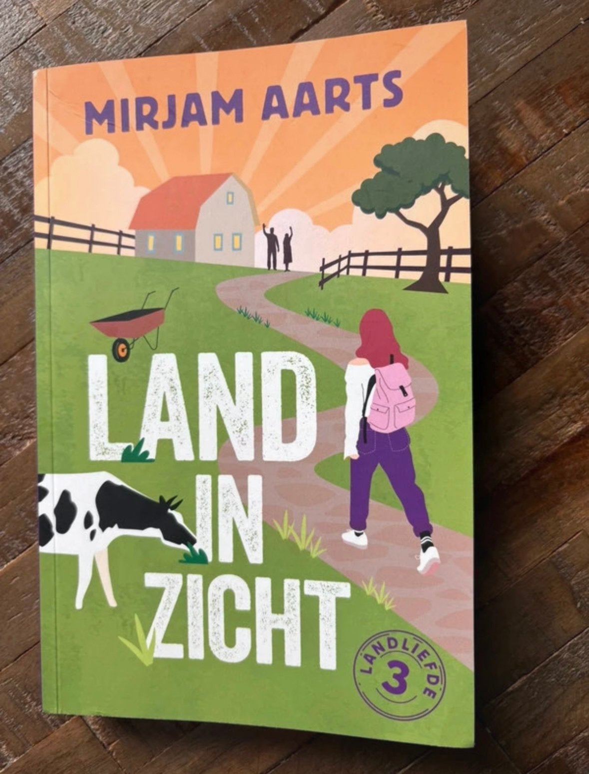Boek Land in zicht Mirjam Aarts, Ophalen of Verzenden, Gelezen