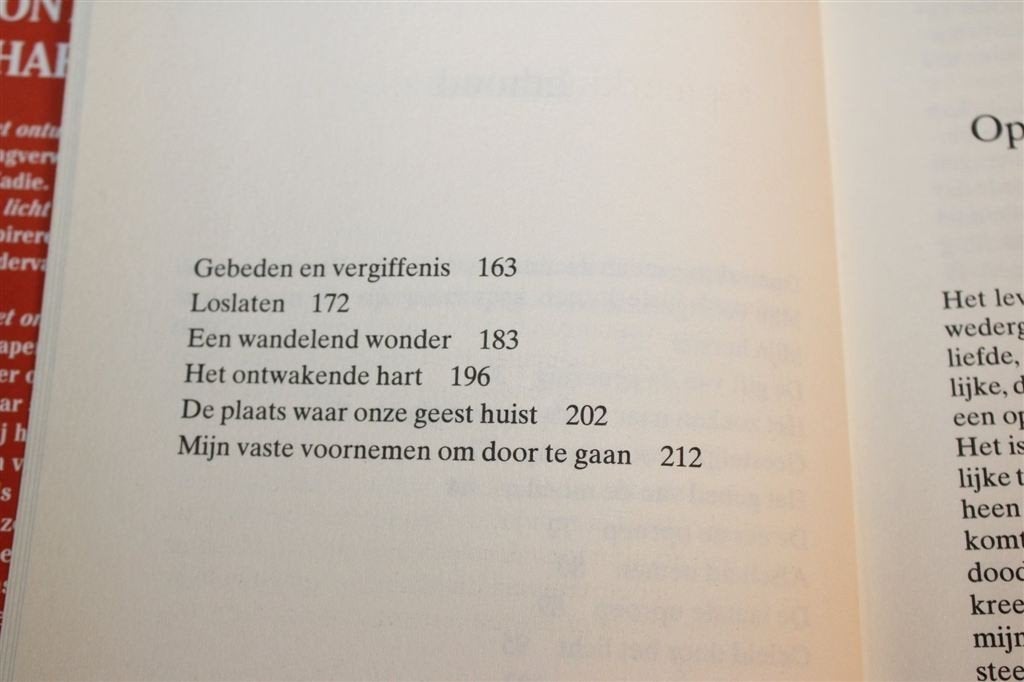 Ontwakende Hart — Betty Eadie Bijna-Doodervaring & Geloof, Ophalen of Verzenden, Gelezen, Overige onderwerpen, Achtergrond en Informatie