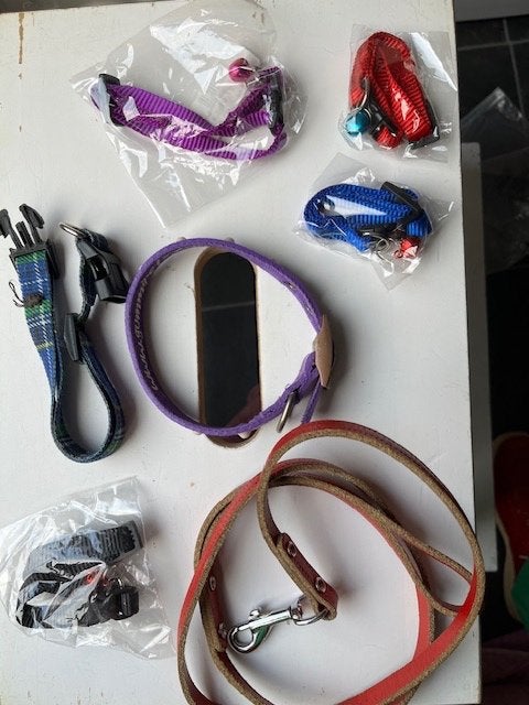 Puppy halsbandjes en riem, Ophalen of Verzenden, Nieuw, Hondenriem-accessoire