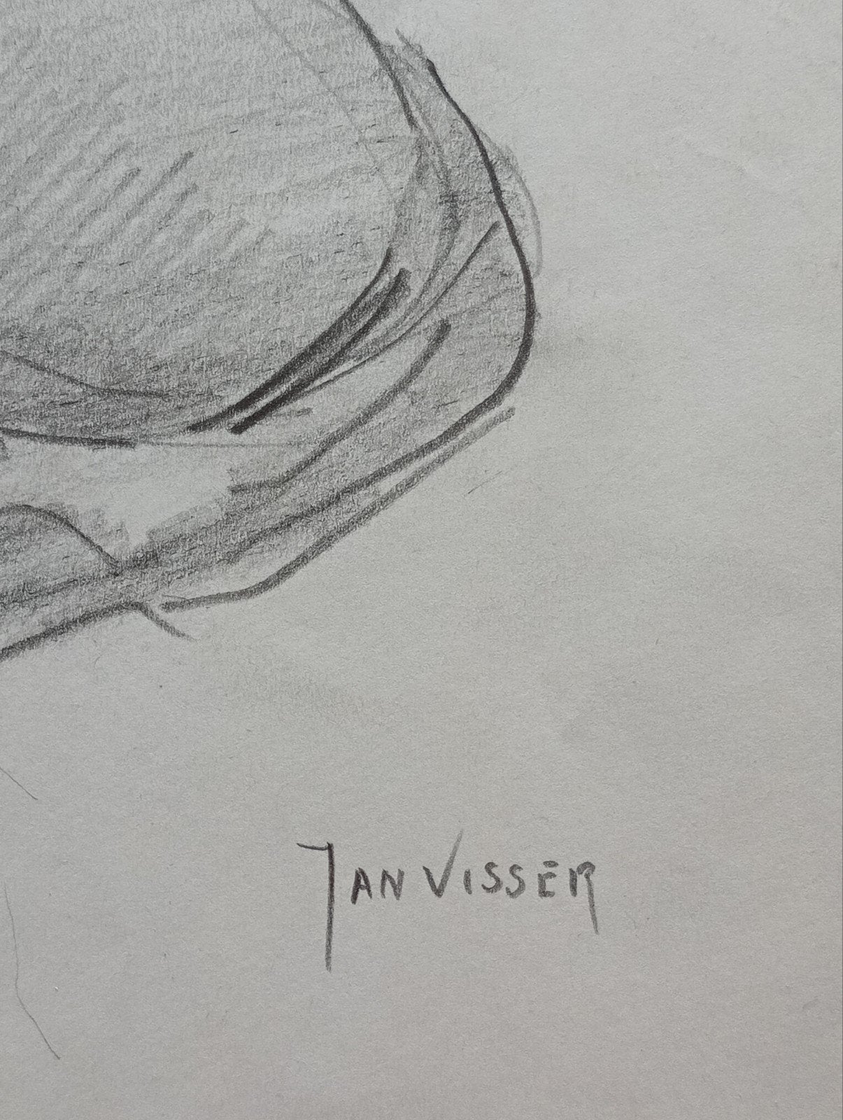 Jan Visser tekening Buffel jaren 40-50 Blijdorp Rotterdam, Antiek en Kunst, Kunst | Tekeningen en Foto's, Ophalen of Verzenden