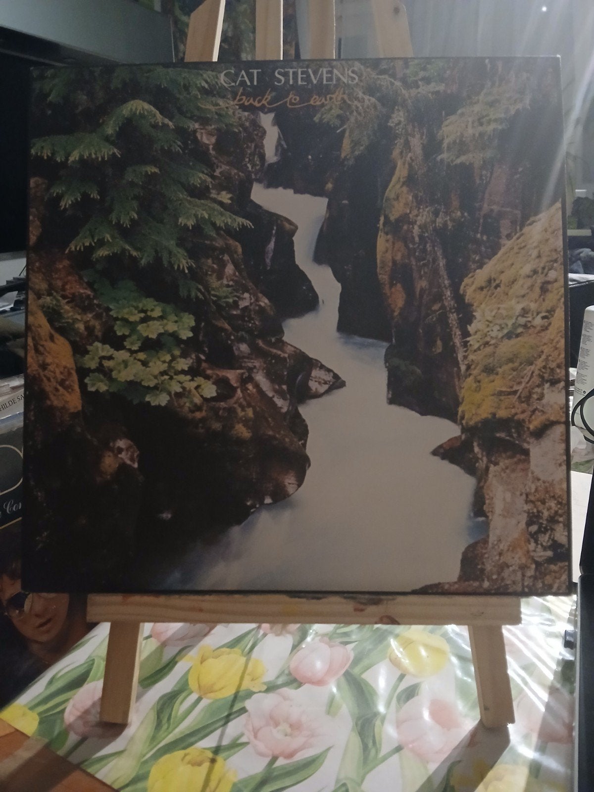 Cat Stevens - Back to Earth LP (Pop, Folk), LP, Gebruikt, Pop, Ophalen of Verzenden