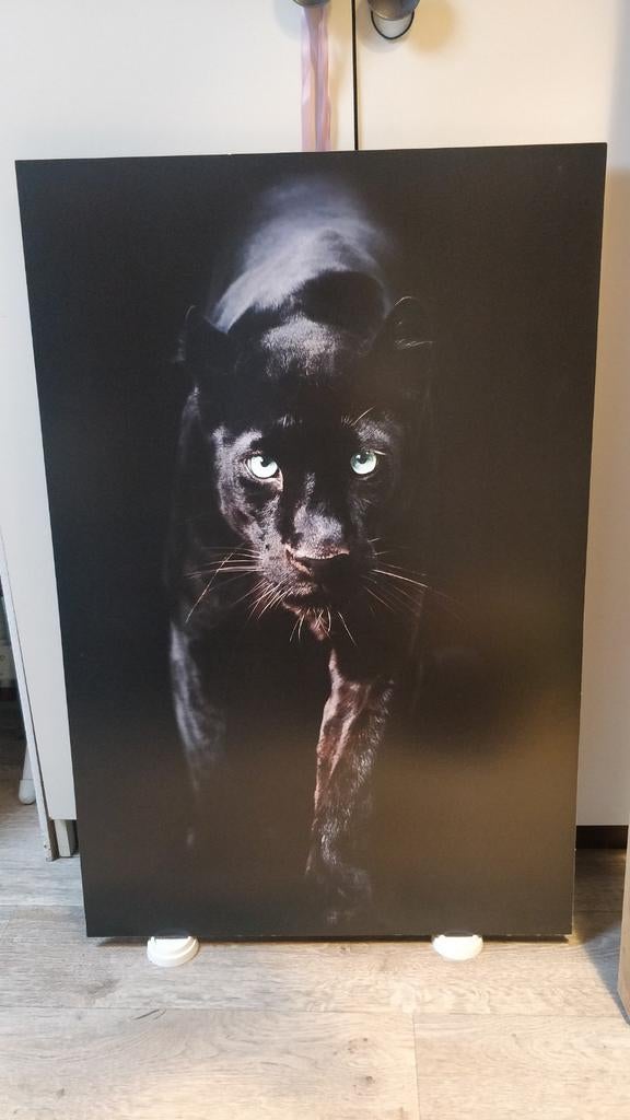 Wanddecoratie Zwarte Panter 60x90 cm, Ophalen, Schilderij, Zwart, Zo goed als nieuw