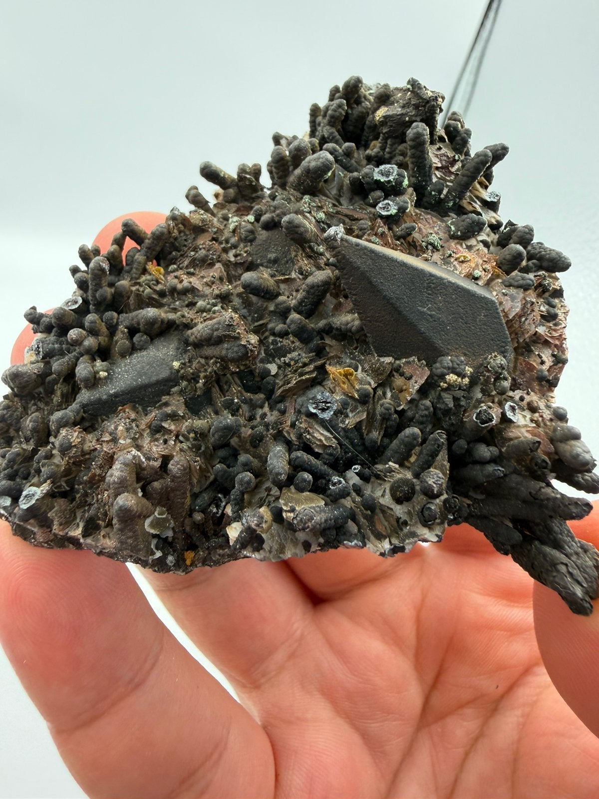 Unieke black limonite cluster met calxiet soorten en pyriet, Ophalen of Verzenden