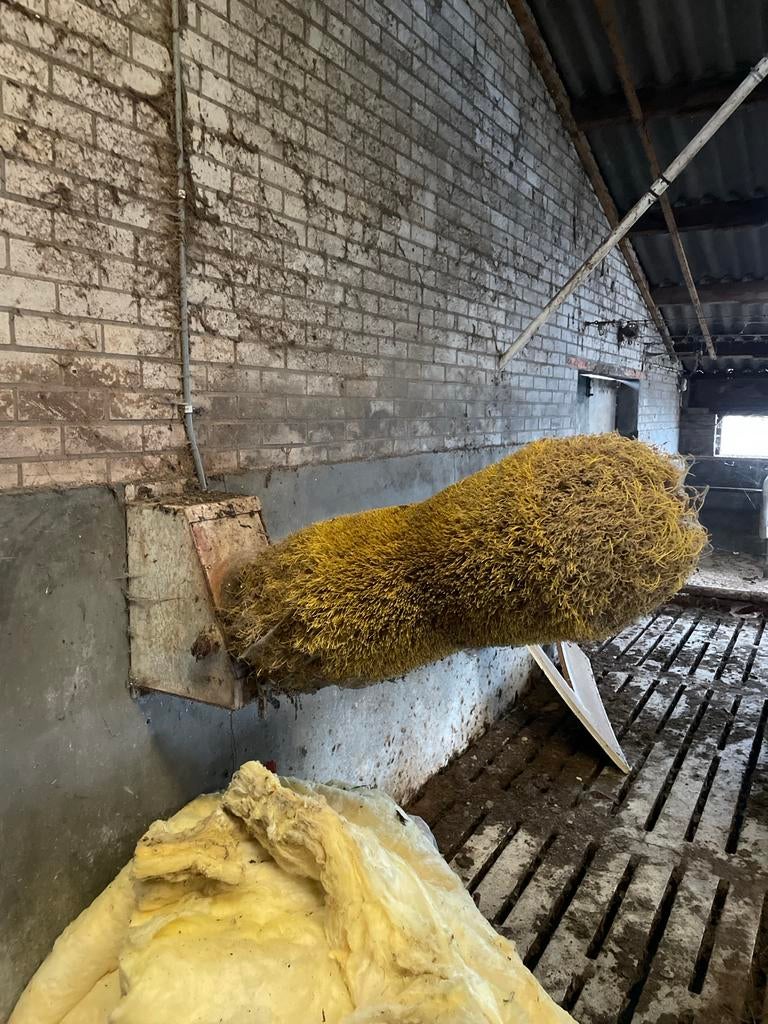 Koe borstel, stal inrichting, Dieren en Toebehoren