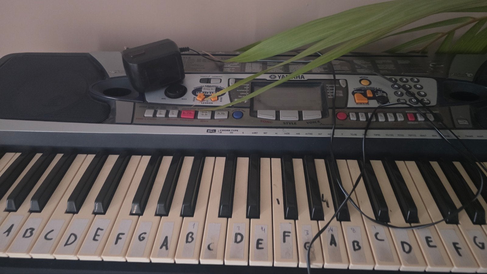 Yamaha PSR-E223 Keyboard met standaard, Muziek en Instrumenten, Keyboards, Ophalen