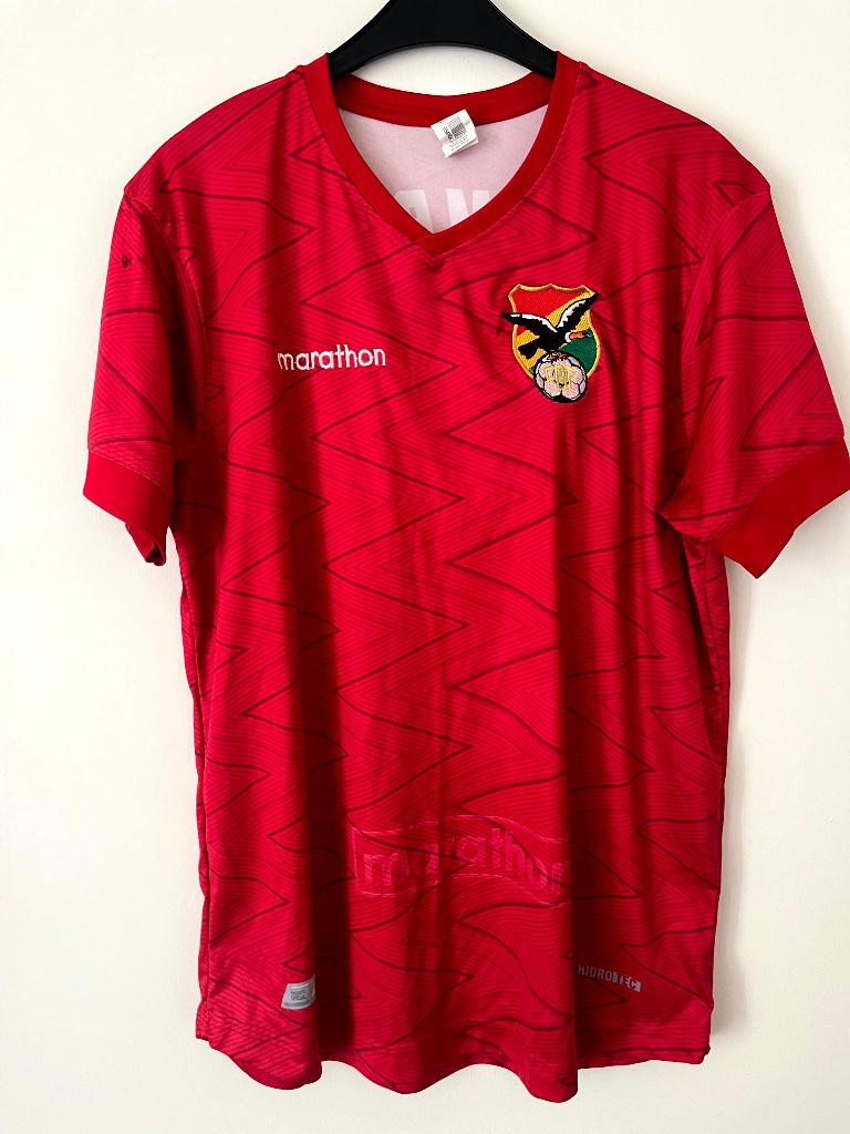 Bolivia National Team Thuisshirt 2011-2014 Walon – Maat L, Verzenden, Zo goed als nieuw, Shirt