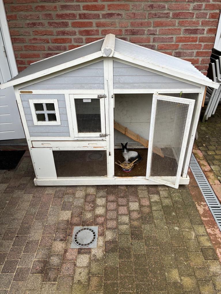Hok voor konijnen of kippen, Dieren en Toebehoren, Ophalen, 90 cm of meer, Konijn, Hok