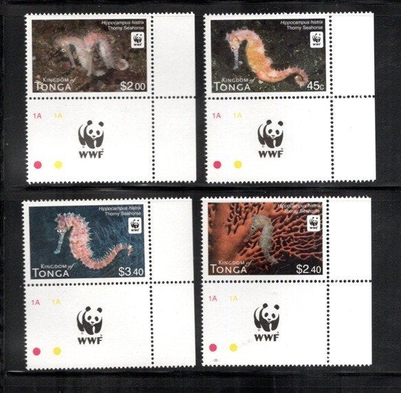 VISSEN. POSTFRIS. jaar n.n. Tonga. zeepaardjes, Ophalen of Verzenden, Postfris, Dier of Natuur