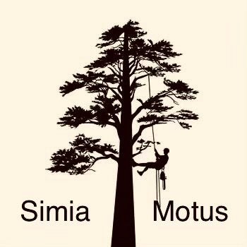 Bomen Snoeien en kappen., Diensten en Vakmensen, Tuinmannen en Stratenmakers