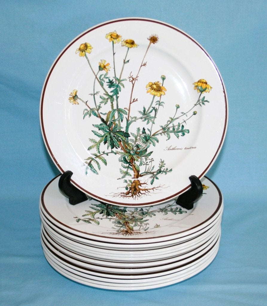 Villeroy & Boch " Botanica " Dinerborden 24cm, Gebruikt, Villeroy & Boch, NVT, Ophalen of Verzenden