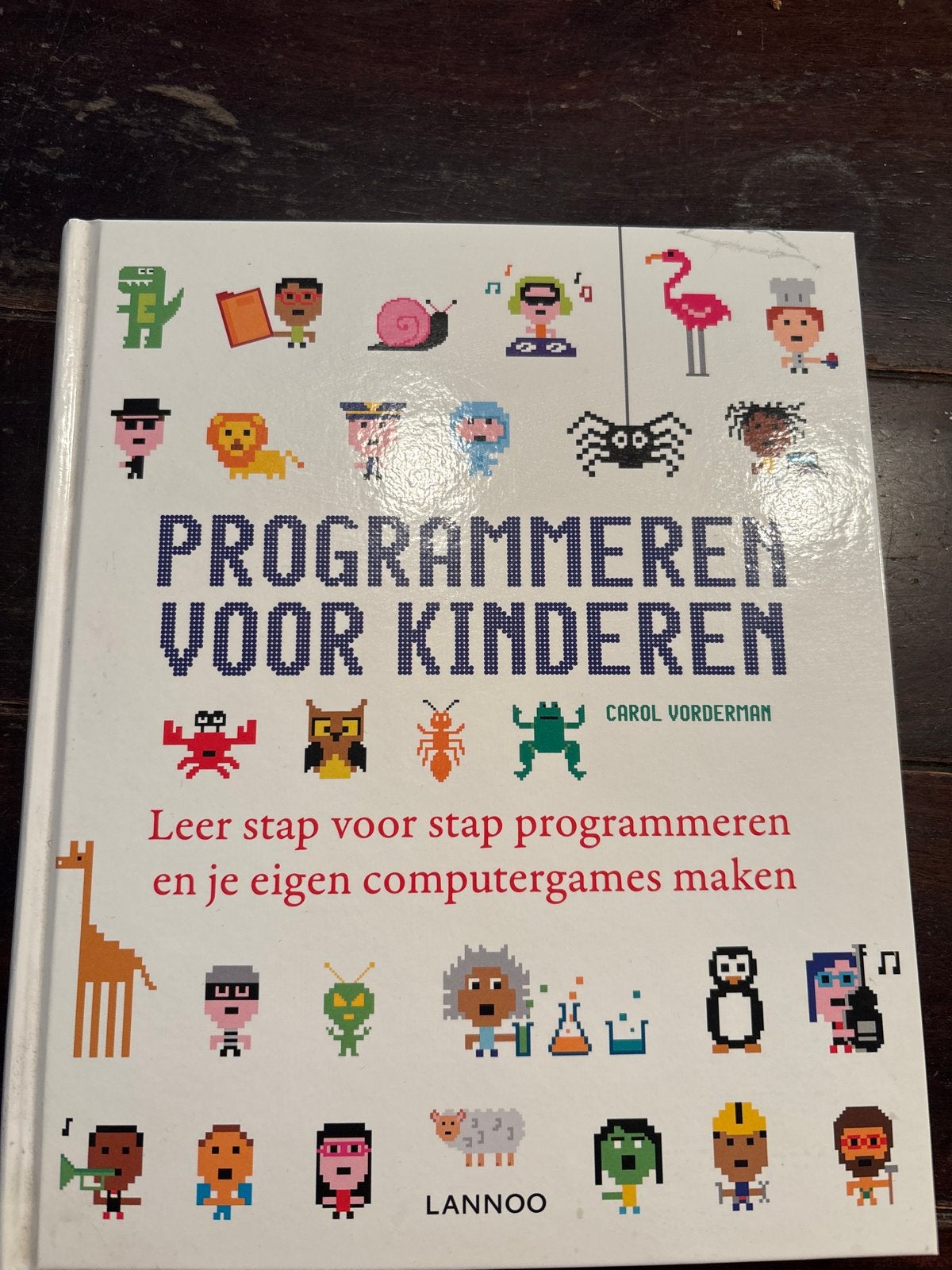 Programmeren voor Kinderen - Leer programmeren, Ophalen of Verzenden, Zo goed als nieuw, Non-fictie