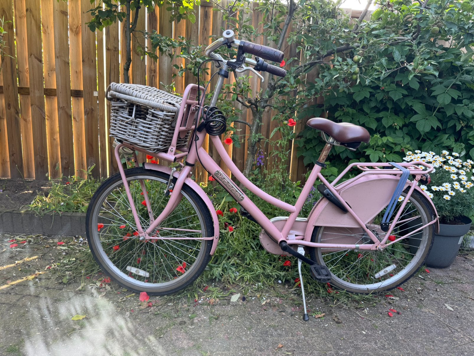 Fiets popal gebuikt, Ophalen, Zo goed als nieuw, 24 inch