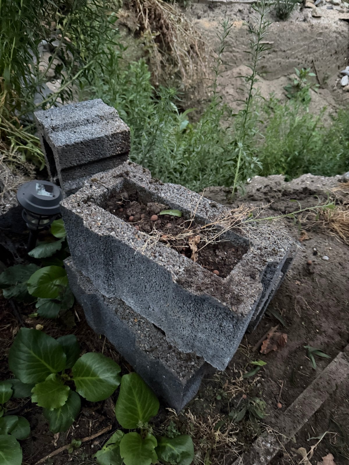 15 grijze betonnen bloembakken - Gratis af te halen, Ophalen, Gebruikt, Minder dan 30 cm, Minder dan 60 cm
