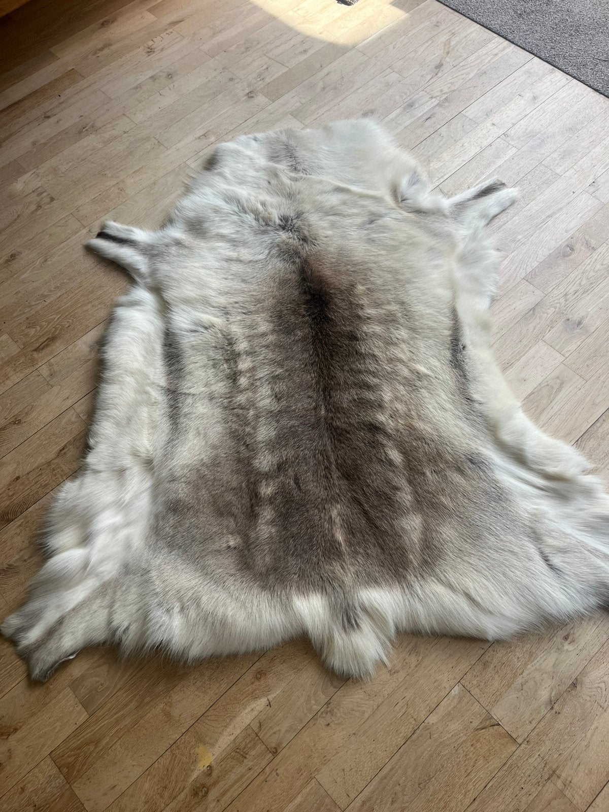 Prachtig mooi eland vacht, meegenomen uit Lapland, Ophalen of Verzenden, Zo goed als nieuw, Leer, Overige typen