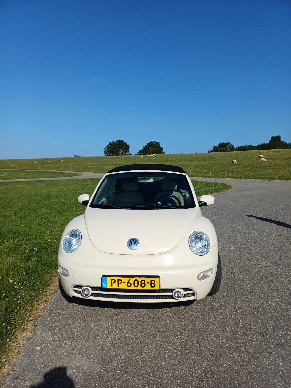 beetle cabrio 2003 Geel, 4 stoelen, 1299 kg, 115 pk, 1000 kg