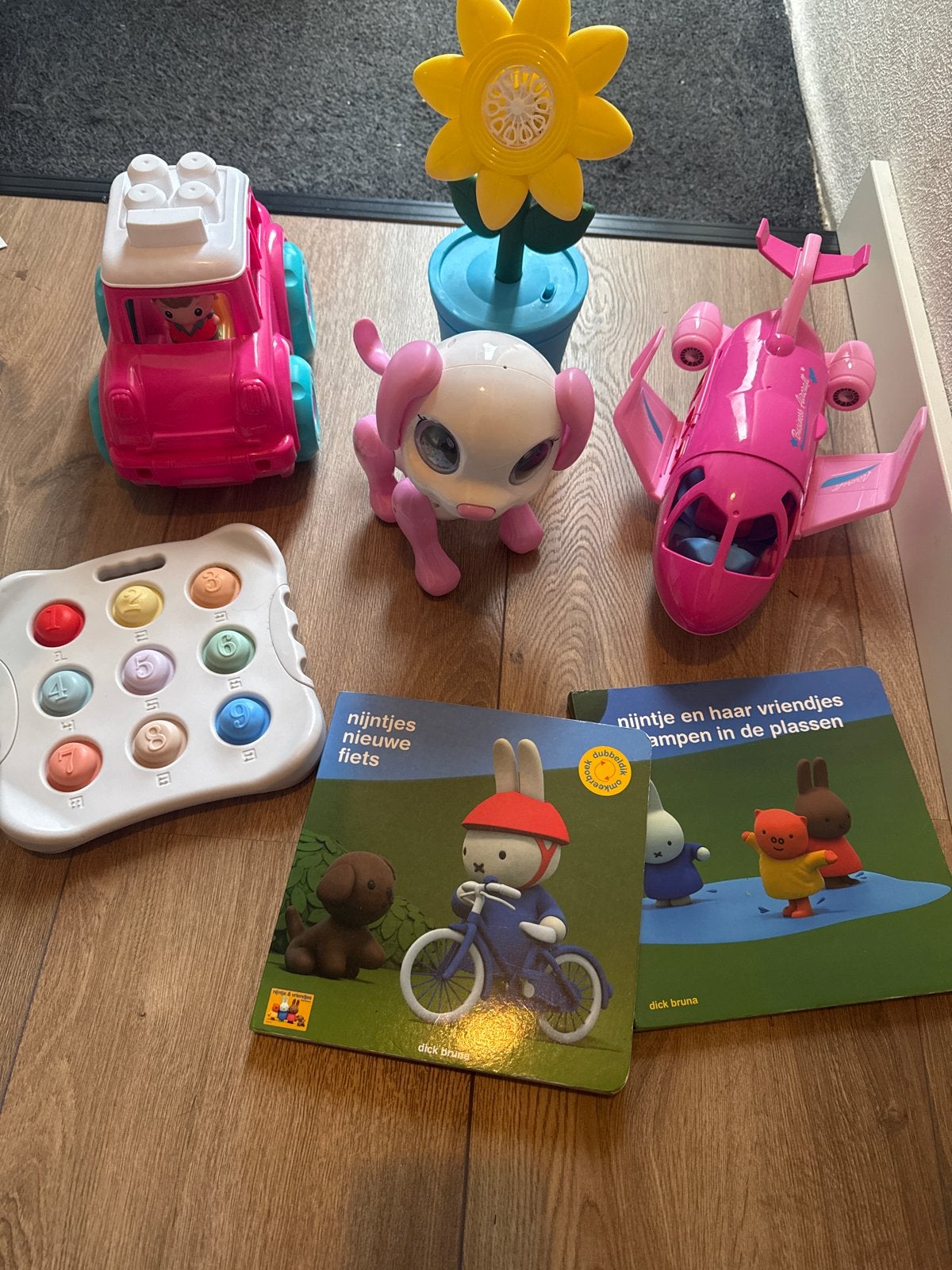 Gratis speelgoed en boekjes voor kinderen, Ophalen, Gebruikt, Meisje