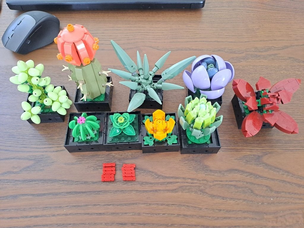 LEGO Set Succulents/Vetplanten 10309, Gebruikt, Lego, Ophalen of Verzenden, Complete set