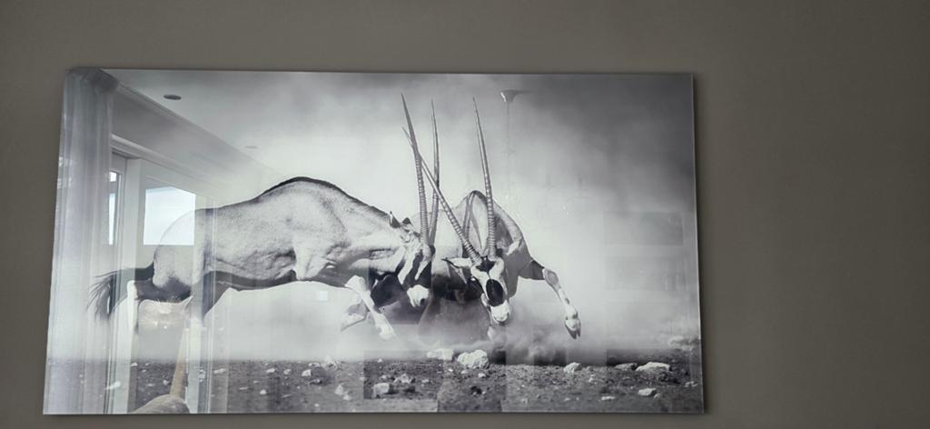 Plexiglas Schilderij 100x150 - Eric Kuster Stijl Oryxen, Ophalen