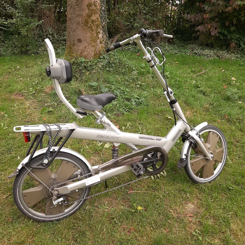 Giant Revive te koop, Ophalen, Gebruikt, Velgrem, Giant