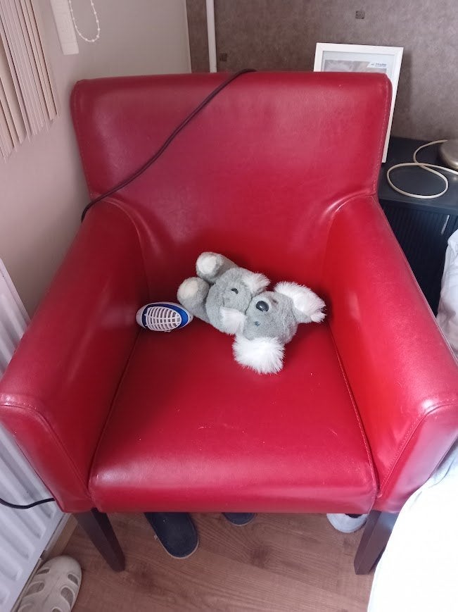 stoelen, Huis en Inrichting, Ophalen, Gebruikt, Twee, Leer