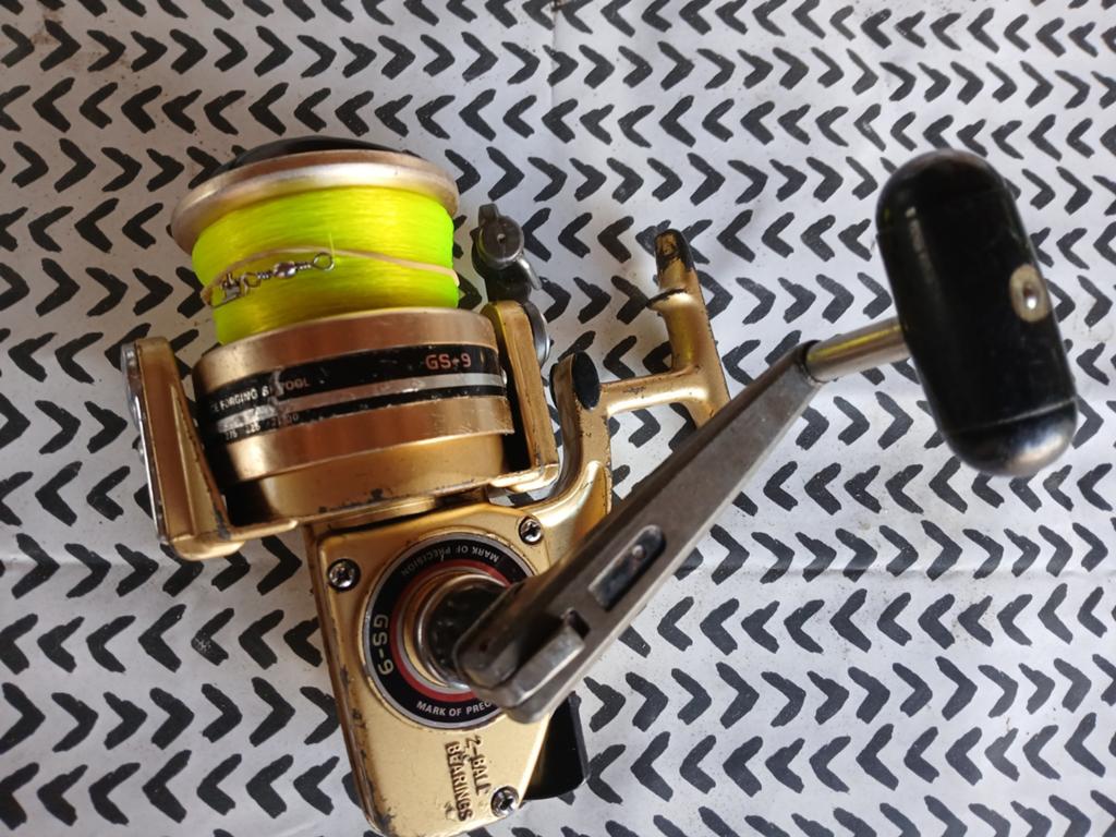 Daiwa GS 9 Molen, Watersport en Boten, Hengelsport | Zeevissen, Ophalen of Verzenden, Gebruikt, Molen