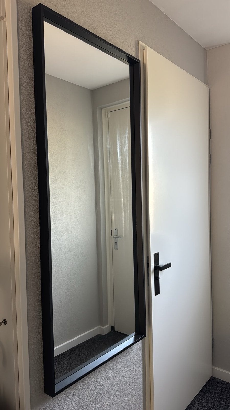 Spiegel  150x65, Doe-het-zelf en Verbouw, Deuren en Horren, Ophalen, Zo goed als nieuw, Binnendeur, Minder dan 200 cm