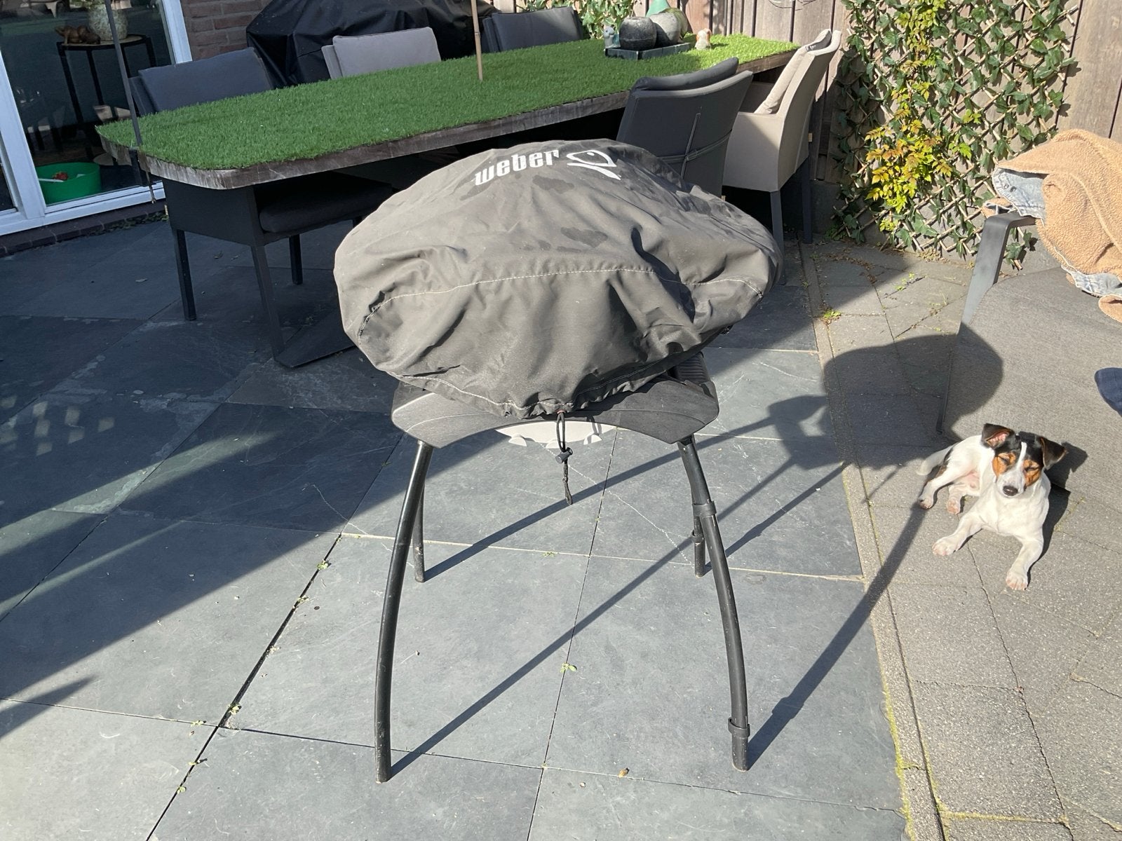 Weber elektrische BBQ met standaard - Zeer goede staat, Ophalen of Verzenden, Gebruikt
