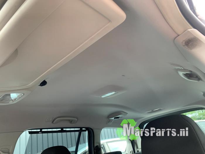 Hemelbekleding van een Citroen C4 Grand Picasso, Auto-onderdelen, Interieur en Bekleding, Gebruikt, -, Ophalen of Verzenden, -