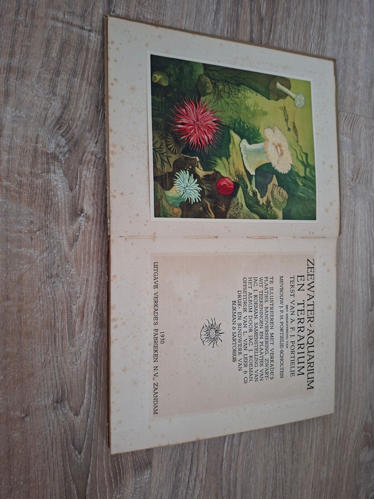 Zeewater-Aquarium en Terrarium - A.F.J. Portielje (1938), Ophalen, Gelezen, Overige onderwerpen, A.F.J. Portielje