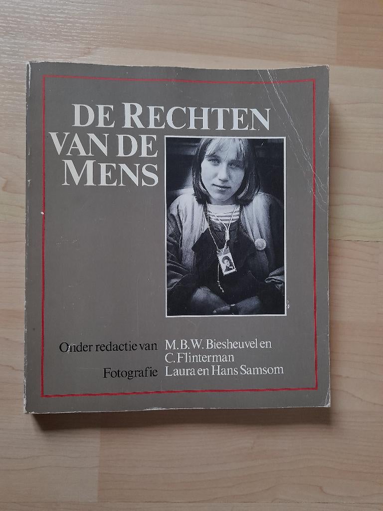 DE RECHTEN VAN DE MENS door MBW Biesheuvel en C Flinterman, Ophalen of Verzenden, Gelezen