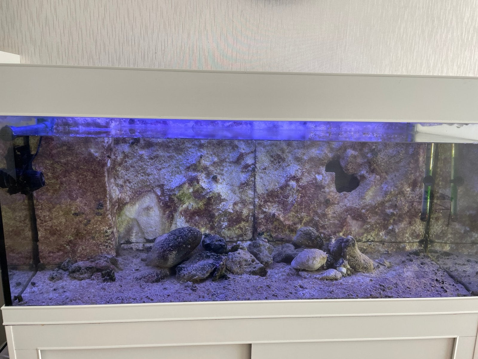 Leeg aquarium met sump, Ophalen of Verzenden, Gebruikt, Leeg aquarium