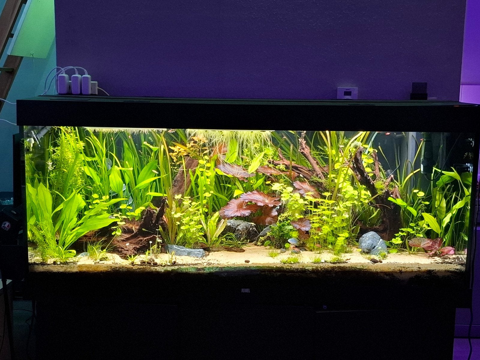 Juwel Rio 450, Dieren en Toebehoren, Vissen | Aquaria en Toebehoren, Ophalen, Zo goed als nieuw, Leeg aquarium, Juwel