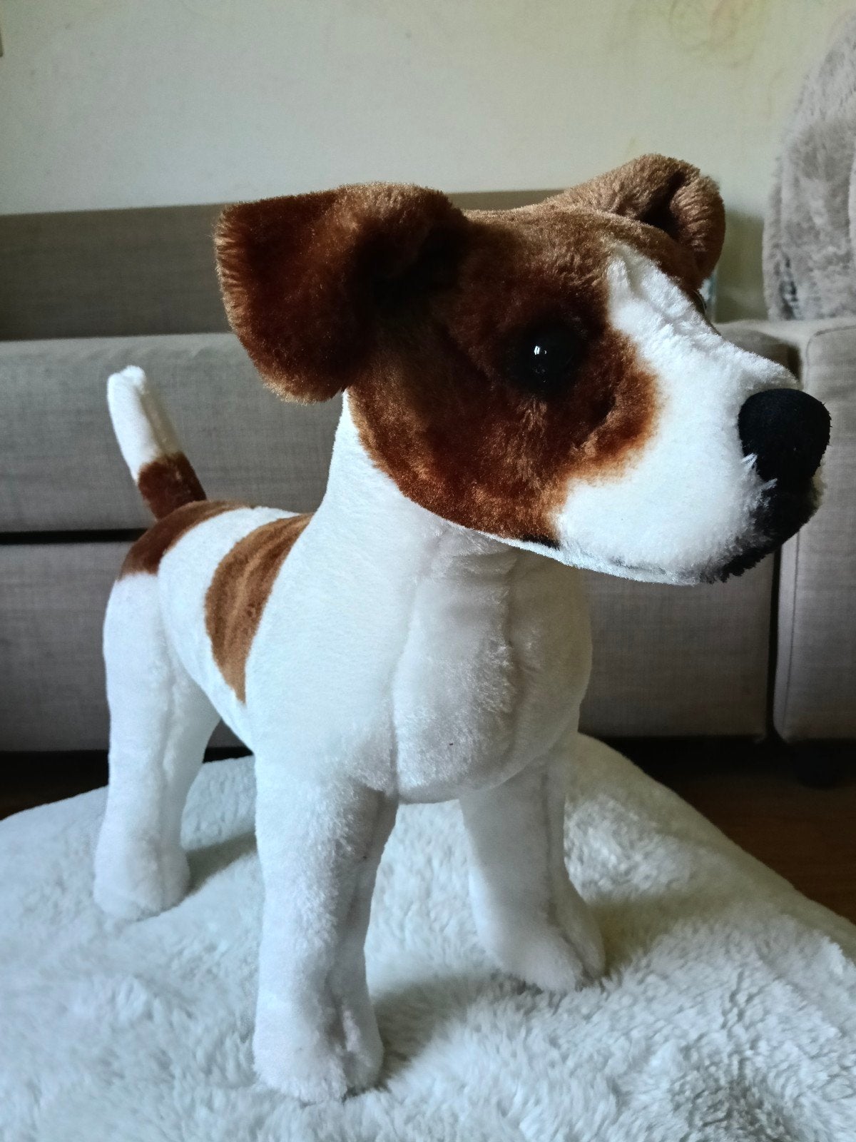 Melissa & doug Jack Russel Terriër knuffel hond ZGAN, Overige merken, Overige karakters, Zo goed als nieuw, Middelgroot (20 tot 80 cm)