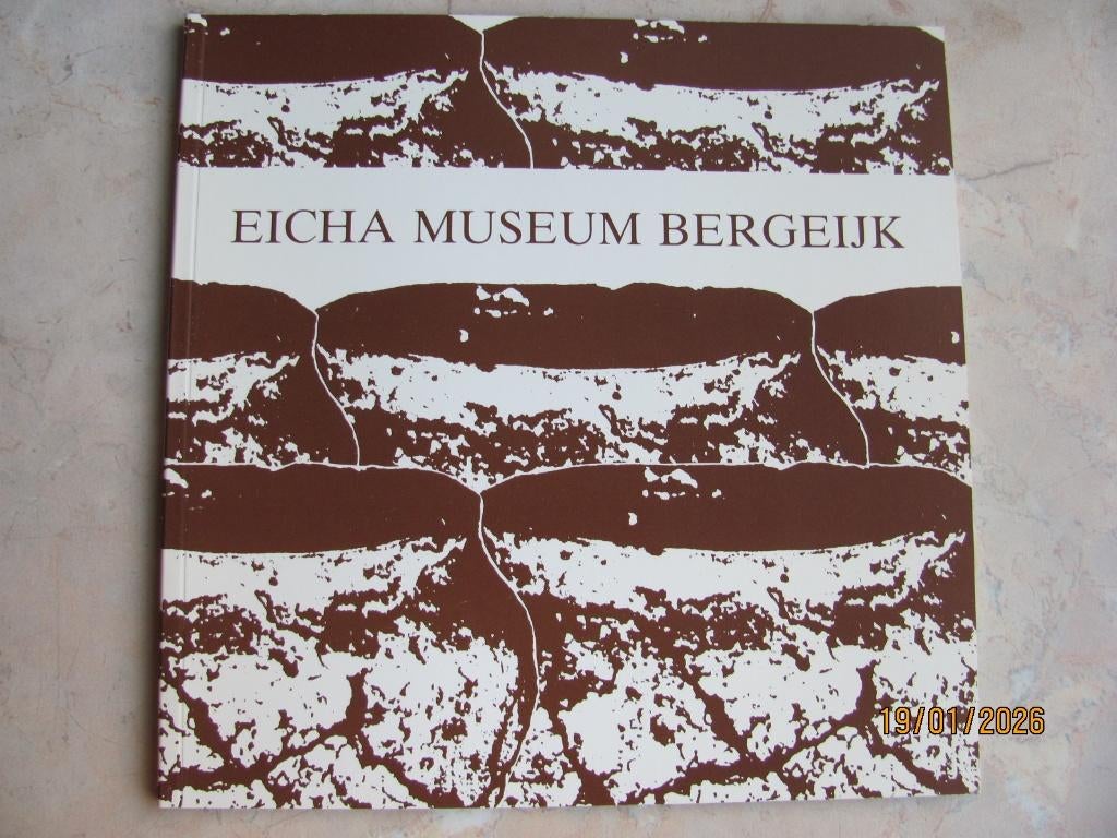 VINTAGE oa Johan BIEMANS overzicht EICHA MUSEUM BERGEIJK '84, Boeken, Ophalen of Verzenden, Zo goed als nieuw, J Biemans J Deeben F Theuws