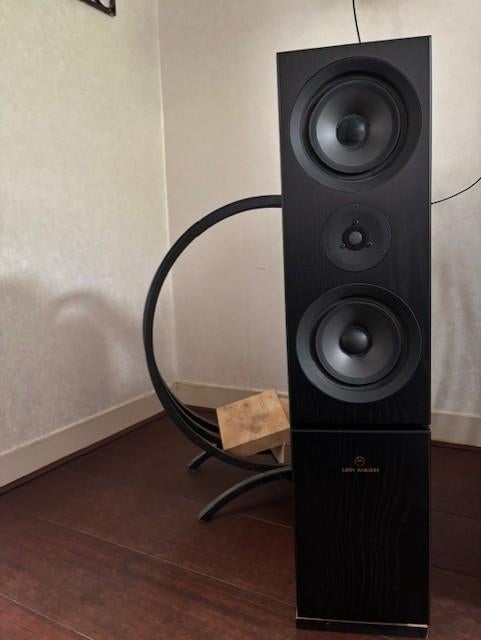 Linn Keilidh, Audio, Tv en Foto, Luidsprekers, Gebruikt, 120 watt of meer, Front, Rear of Stereo speakers, Ophalen